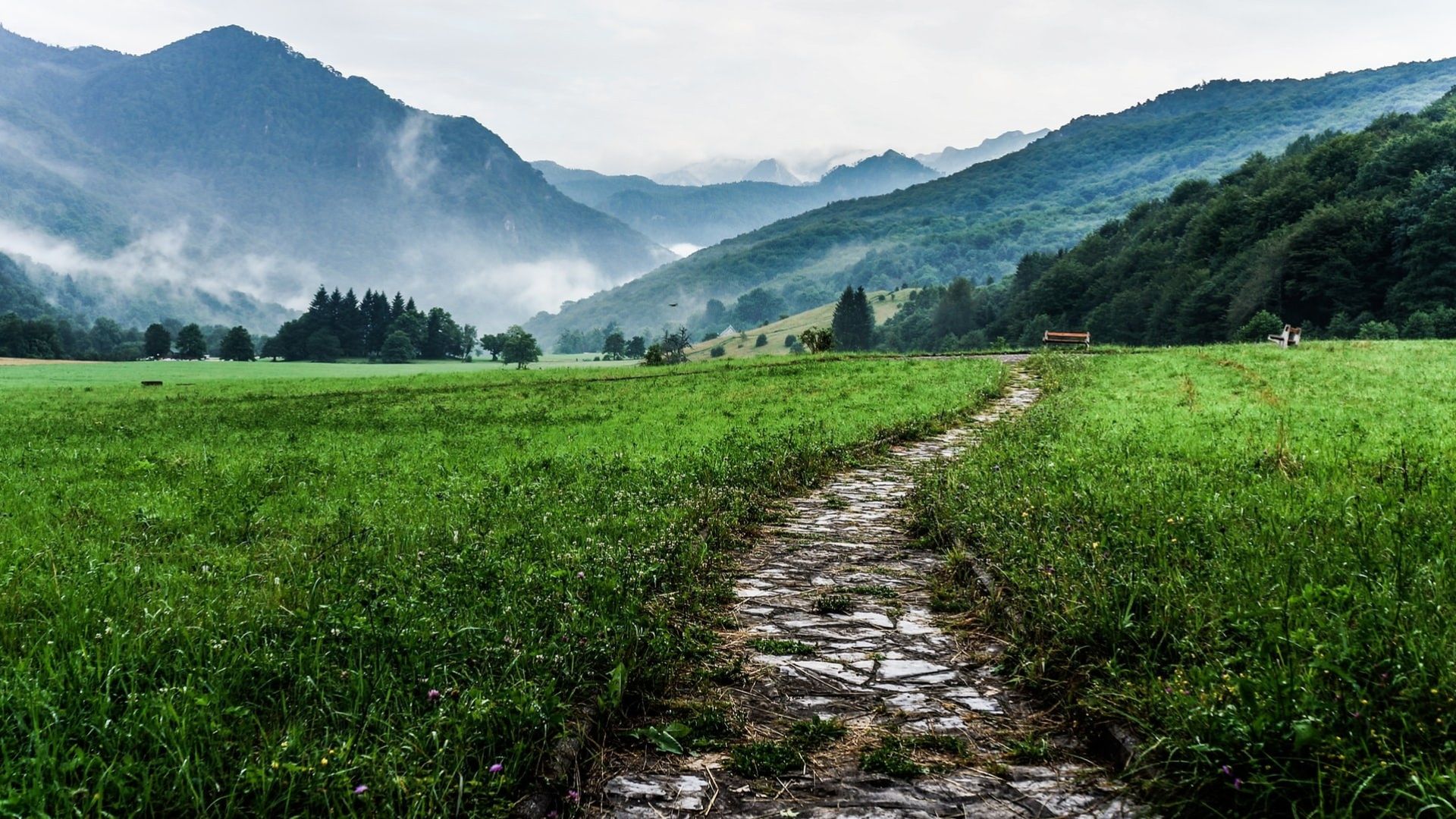 Choose your path