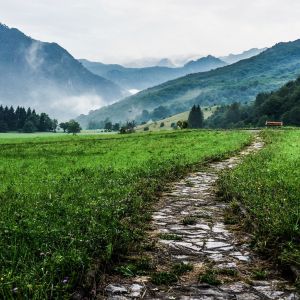 Choose your path