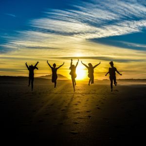 5 important tips to webdev success